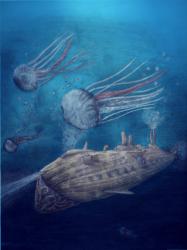 Nautilus with Jellyfish