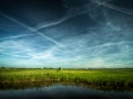Dutch Skies by Bas Lammers; http://www.flickr.com/photos/bslmmrs/4696517771/; CC-BY 2.0 http://creativecommons.org/licenses/by/2.0/deed.en; Vignetted sky and green grass