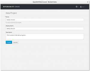 F24-OpenShift-02-NewProject.png