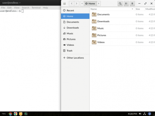 Screenshot endless gnome-files-terminal.png