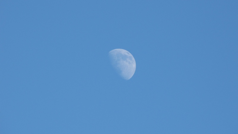 File:Moon at dusk .jpg