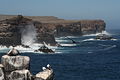 Ocean vista from the Galapagos #1