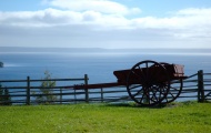 Mricon: Cart (taken in Cape Breton)