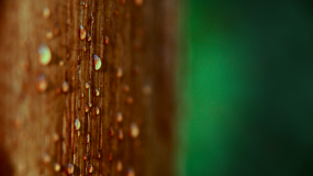 raindrops by zdenek, CC-BY-SA 4.0